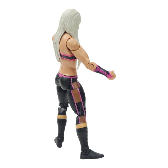 WWE Dana Brooke Wrestling Action Figure 6.25" Toy Loose 2013 Mattel - Picture 6 of 12
